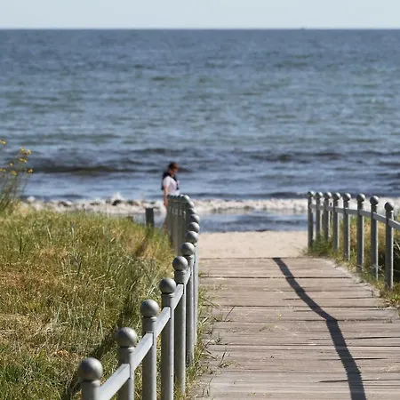 Stranddistel Nr 4-1 Strandpromenade *